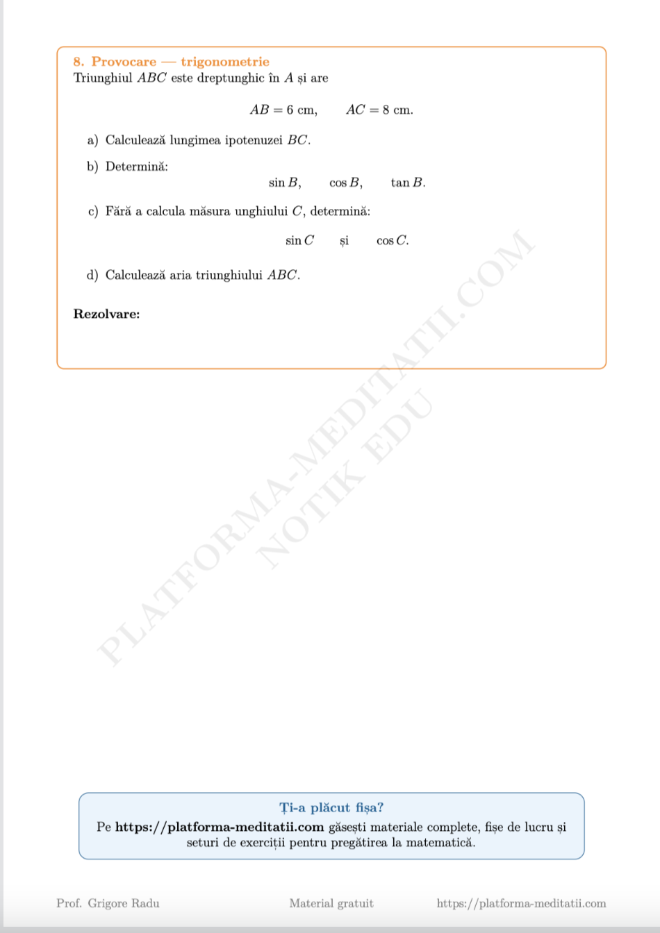 Fișă VIII - pagina 3 - 2026